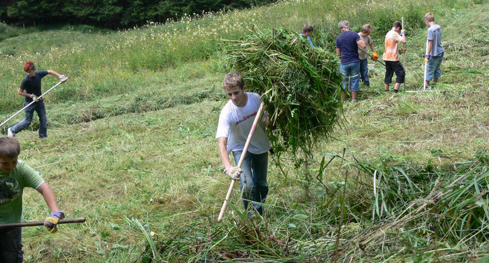 Ehrenamtliche Helfer bei der Landschaftspflege