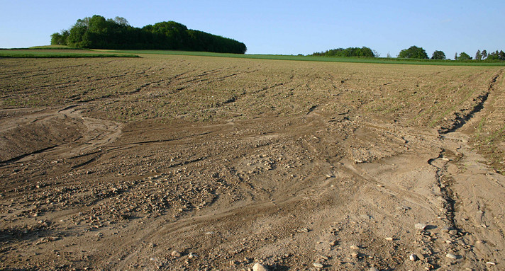 Erosion am Westhang der Riß-Endmoräne bei Rehmoos