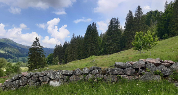 Trockenmauer in Menzenschwand