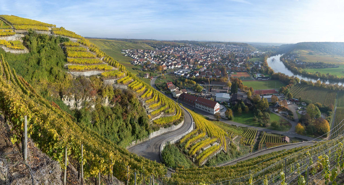 Weinberge im Herbst mit Blick auf Mundelsheim