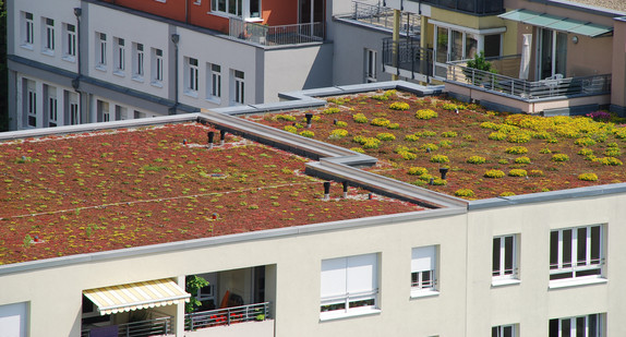 Eine Dachbegrünung hilft bei sommerlicher Hitze. Sie wirkt sich positiv auf das Mikroklima aus und sorgt für Abkühlung in den Innenräumen.