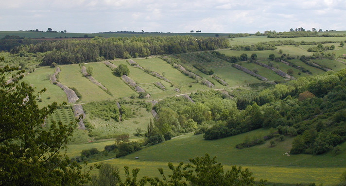 Steinriegellandschaft im Vorbachtal