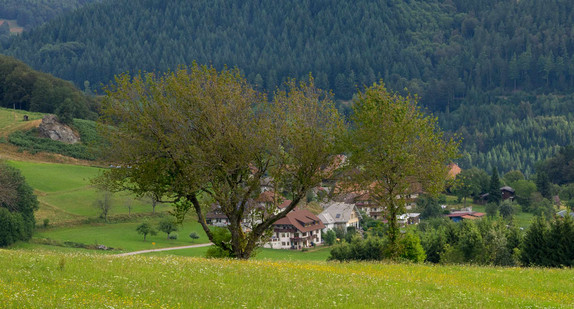 Fröhnd im Schwarzwald