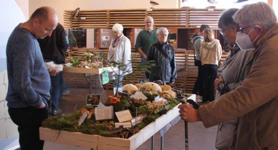 Pilzausstellung