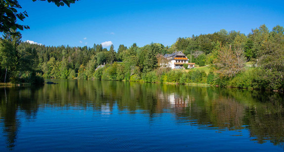 Klosterweiher bei Dachsberg in Baden-Württemberg