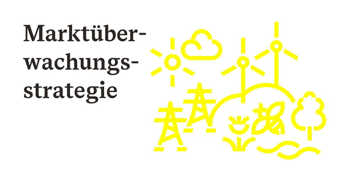 Marktüberwachungsstrategie