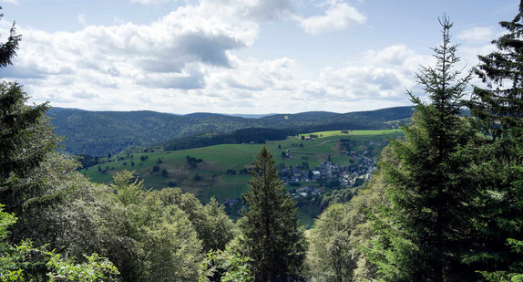 Blick auf das St. Wilhelmer Tal vom Berg Schauinsland