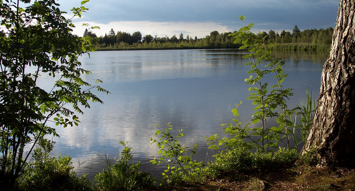 Riedsee im Wurzacher-Ried