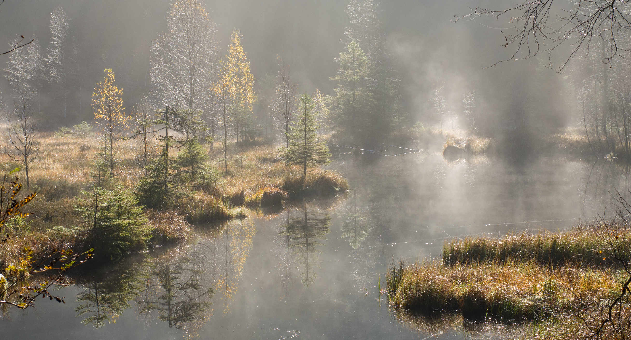 Der mystische Buhlbachsee im Nationalpark Schwarzwald