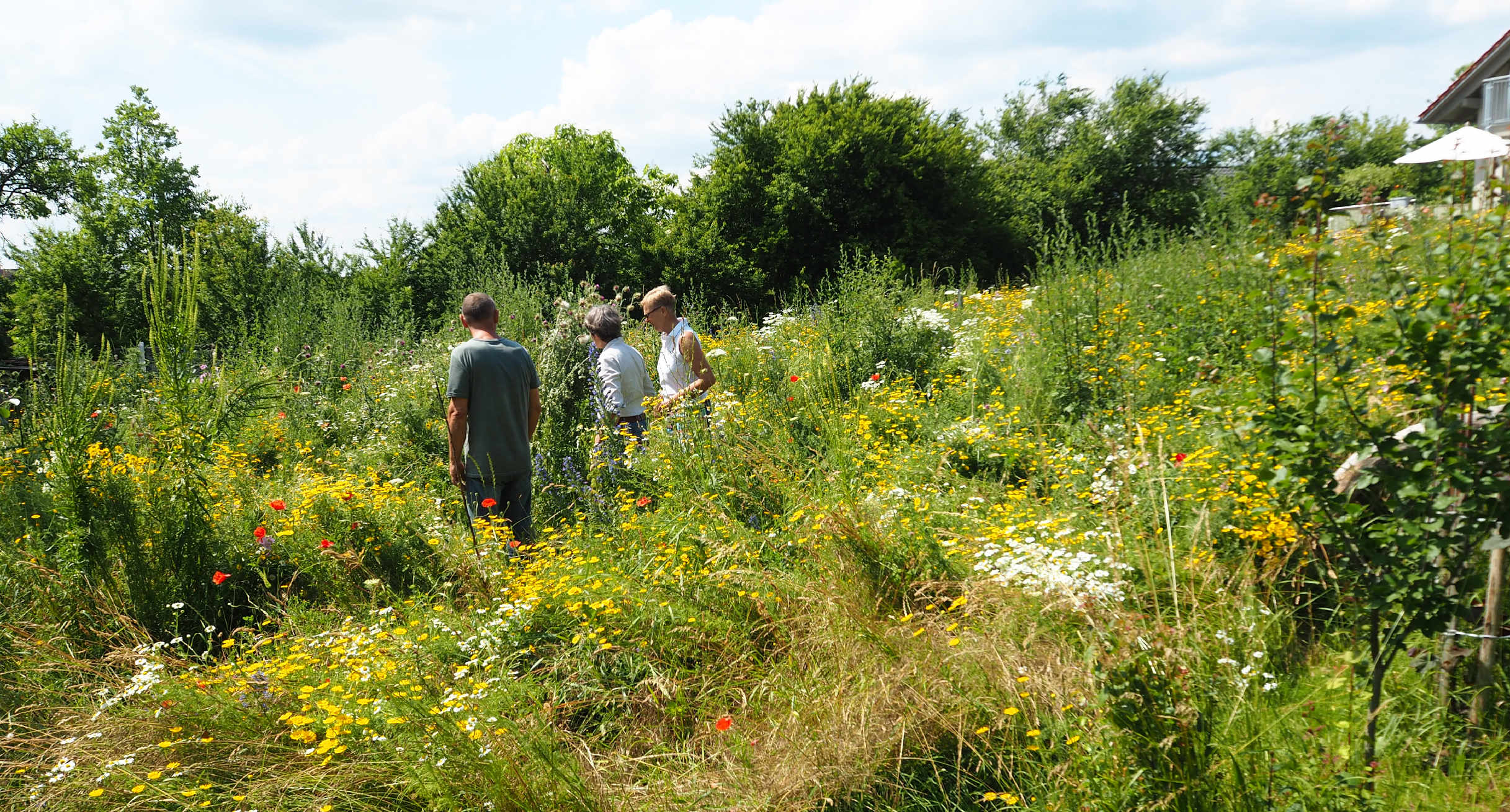 Naturgarten in Buchen-Hettingen