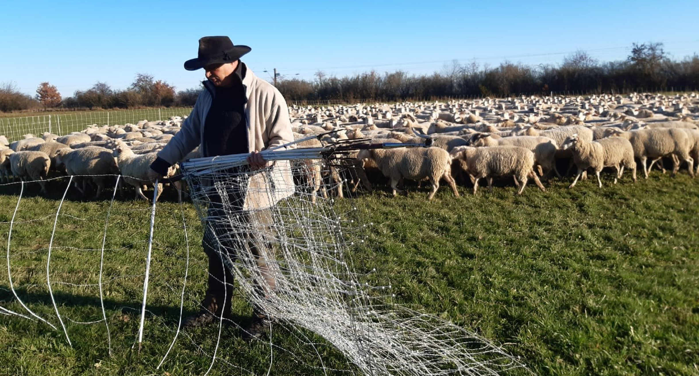 Ein Schäfer errichtet eine Schutzzaun um seine Schafherde vor einem Tierangriff zu schützen']