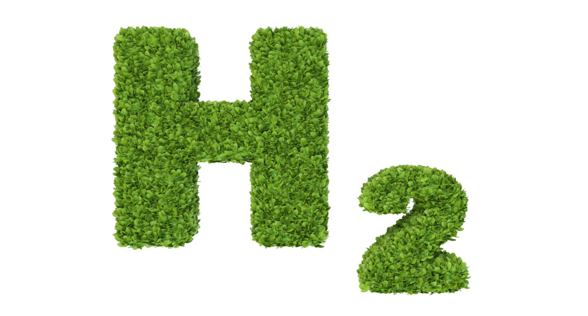 Formel H2 mit Gras gefüllt