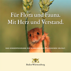 Titelblatt der Broschüre Mit Flora und Fauna. Mit Herz und Verstand. Sonderprogramm zur Stärkung der biologischen Vielfalt